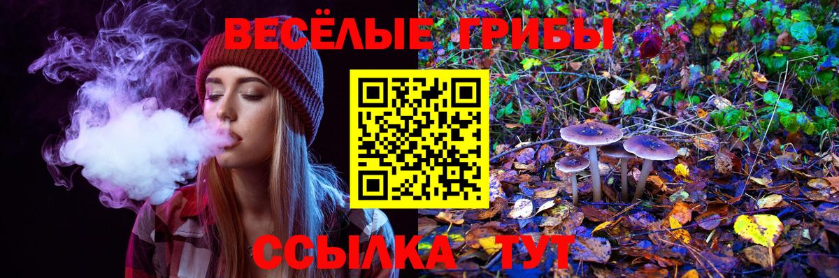 Галлюциногенные грибы Psilocybe  Вход с VPN  Родники 